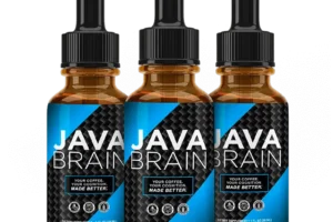 java brain